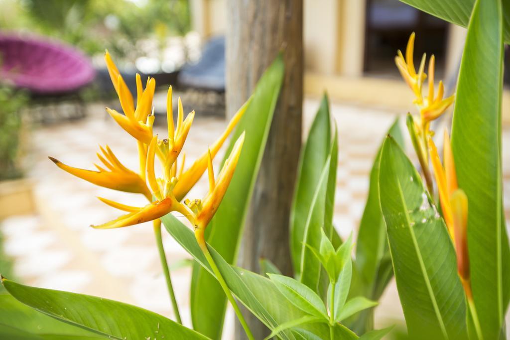 Champa Lodge Kampot Esterno foto